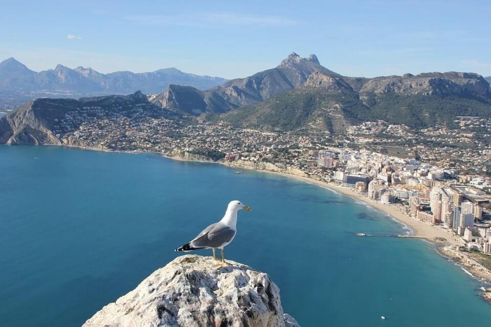 Appartement Arenal 3 - Plusholidays *